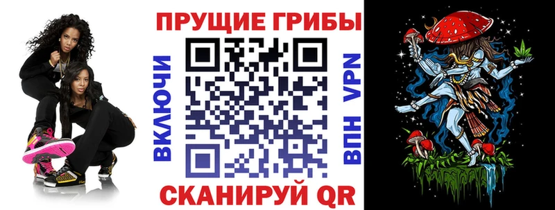 продажа наркотиков  Костомукша  Псилоцибиновые грибы Psilocybine cubensis 