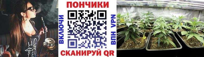 Шишки марихуана индика  Костомукша 